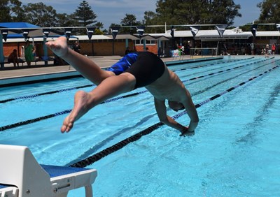 GALLERY: College Swimming Carnival Gallery Image 4
