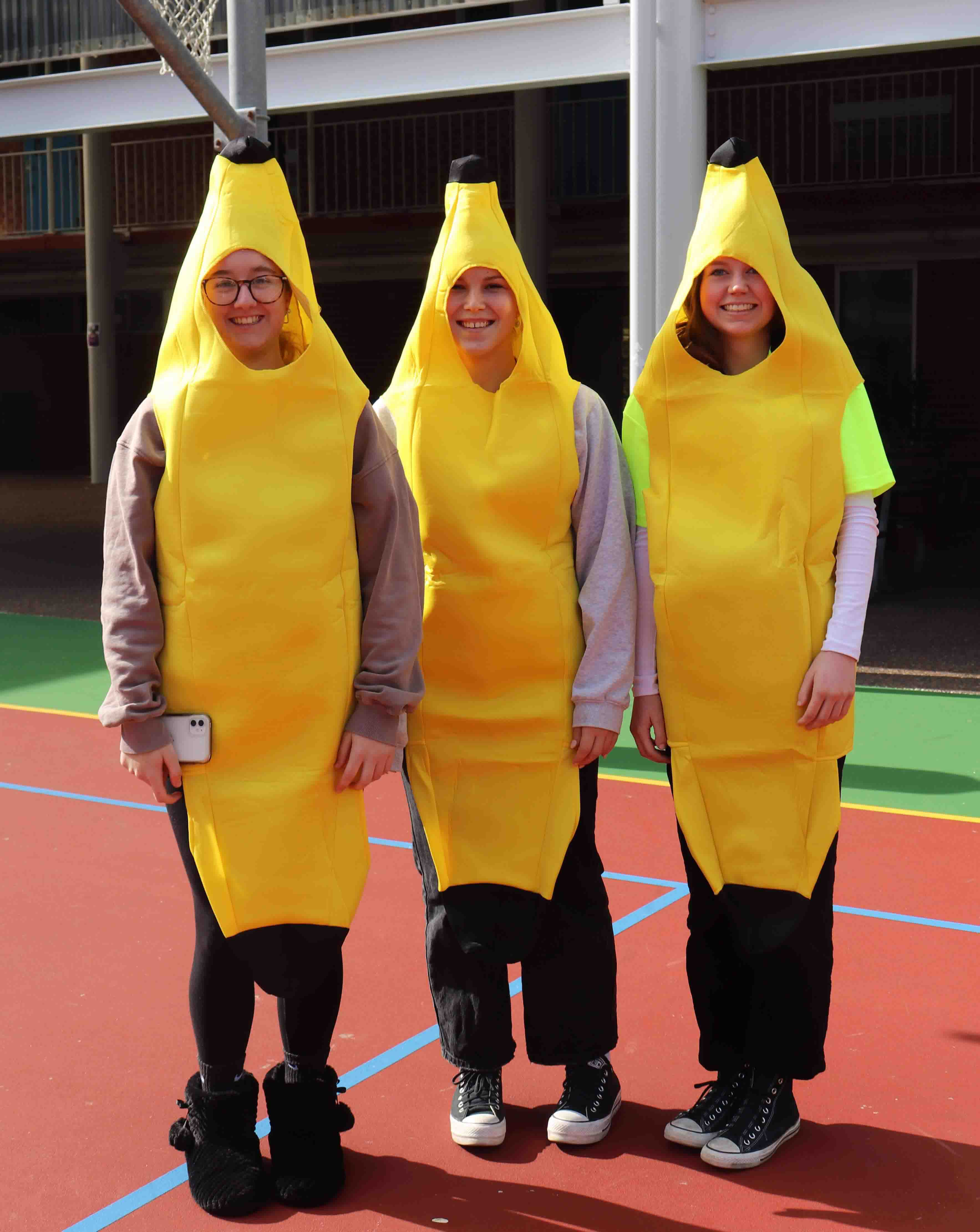 GALLERY: MacKillop Day  Image