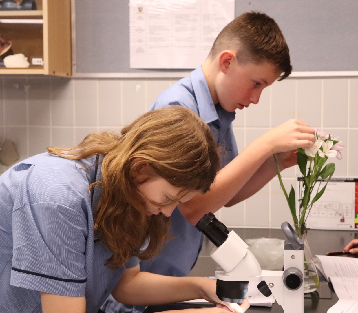 GALLERY: Year 7 Early Days  Image