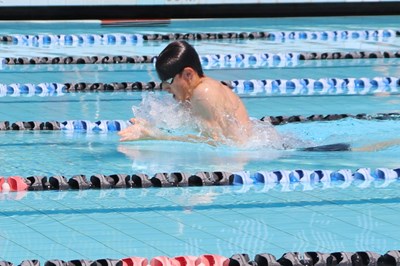 GALLERY: College Swimming Carnival Gallery Image 17