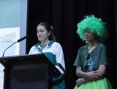 GALLERY: McAuley Day Gallery Image 2